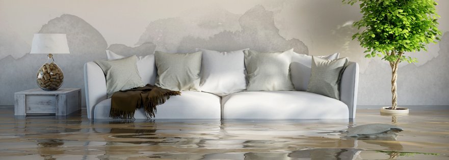 Why Residents Hire Experts to Repair Water Damage in Colorado Springs