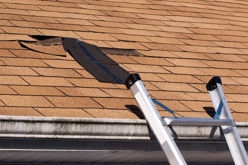 Shingle Roof Replacement: When to Consider the Option