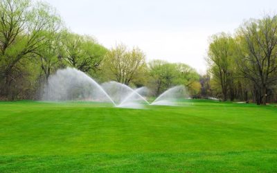 Behind the Scenes: Unveiling the Work of a Landscaper in Edina, MN