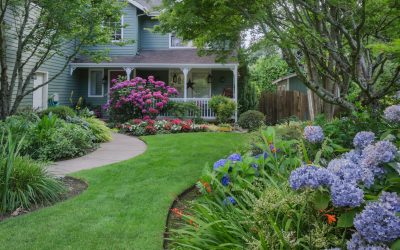 Use Experienced Landscape Design in Port Charlotte, FL