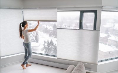 Commercial Window Installation in Littleton, CO