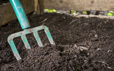 Transform Outdoor Spaces Using Trusted Mulch Companies Near Ashippun, WI