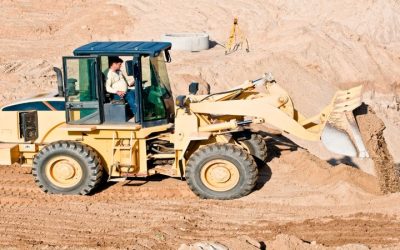 How to Choose the Best Mulch Companies Near Reeseville, WI, for a Healthier Landscape