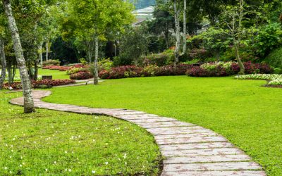 Transform Your Outdoor Space with a Landscape Designer in Sammamish WA